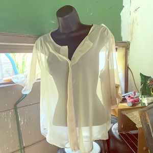 Park Avenue Beige sheer blouse.